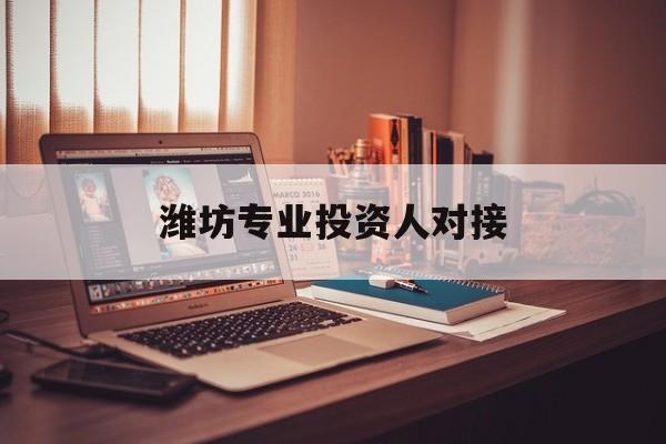 益阳市潍坊专业投资人对接(潍坊专业投资人对接中心)