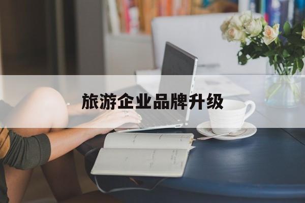 益阳市旅游企业品牌升级(旅游企业品牌升级措施)