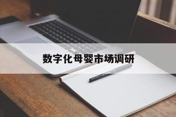 益阳市数字化母婴市场调研(数字化母婴市场调研报告)
