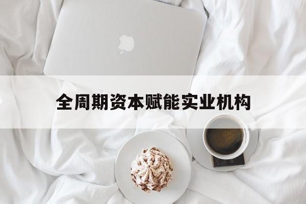 益阳市全周期资本赋能实业机构(全周期管理)